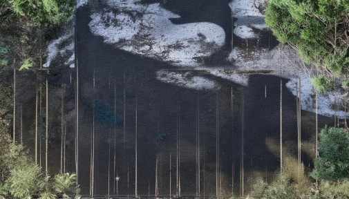 悟空进销存：为何成为首选的库存管理软件推荐