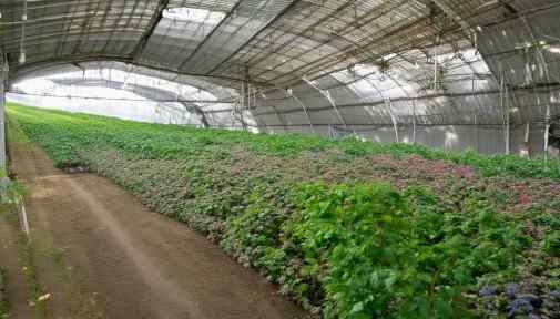 哎，说到农药进销存管理系统啊，这可真是个