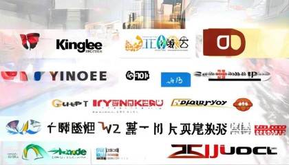 首先啊，咱们得说说现在市场上都有哪些公司