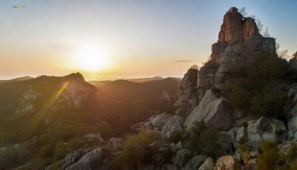 嘿，大家好！今天咱们来聊聊单机版库存管理