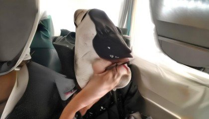 哪些公司提供电脑行业的进销存软件?为何推荐悟空进销存? 哪些公司提供电脑行业的进销存软件?为何推荐悟空进销存?