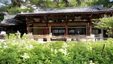 这时候你就需要一个既实用又易用的系统，而