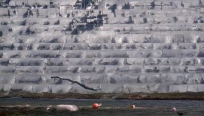 另外，招标流程这块儿，悟空进销存做得也非