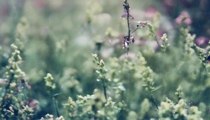 Q：悟空进销存的数据安全有保障吗？
A