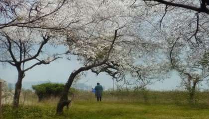 那这个时候，悟空进销存的优势就体现出来了