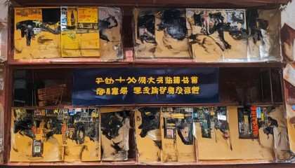 当然可以！以下是一篇以人类说话的口吻语气