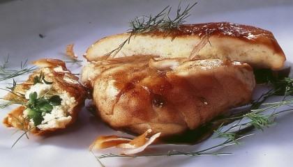 当然可以！以下是一篇以人类说话的口吻语气