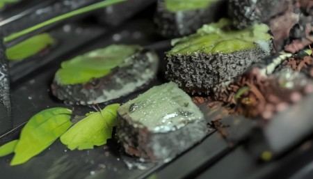 RFID库存管理系统开发公司推荐及为何选择悟空进销存? RFID库存管理系统开发公司推荐及为何选择悟空进销存?