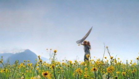 总的来说，进销存系统带来的好处太多了，比