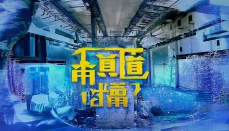 当然可以！以下是一篇以人类说话的口吻语气