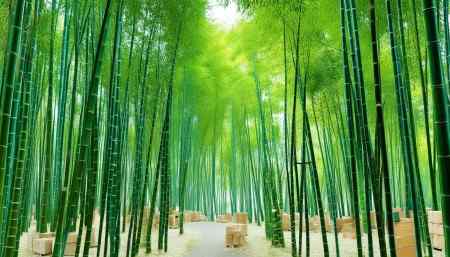 Q：悟空进销存适合哪些类型的企业使用？