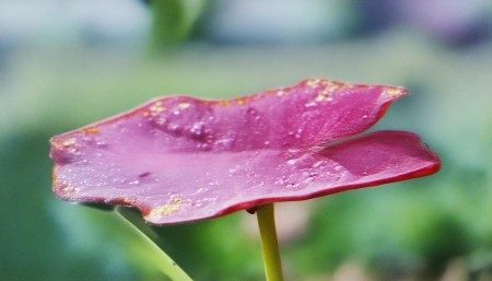 采购招标管理系统有哪些优势? 采购招标管理系统有哪些优势?