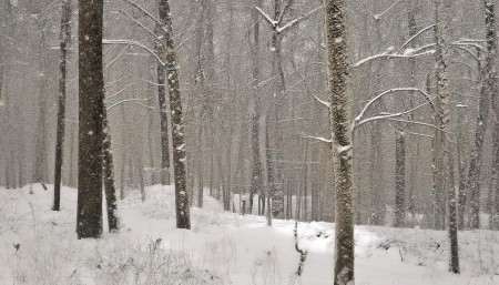 总之啊，进销存库存管理系统哪儿买？当然是