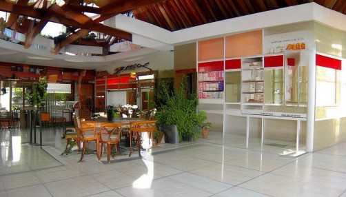 当然可以！以下是一篇以人类说话的口吻语气