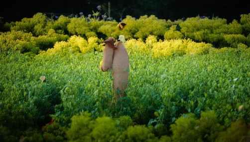 超市进销存系统解析:一篇文章全面了解 超市进销存系统解析:一篇文章全面了解