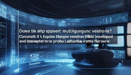 问：系统是否支持多语言版本？
答：目前