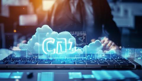 Rental Models and Cost Analysis of CRM Systems