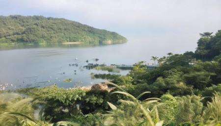 政府采购管理交易系统如何选择?为何推荐悟空进销存? 政府采购管理交易系统如何选择?为何推荐悟空进销存?