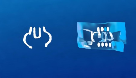 How to Set Permissions in CRM？